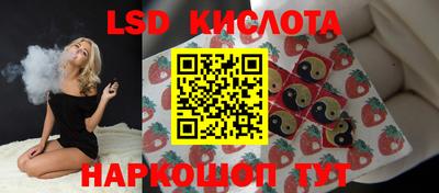 СК Кимры