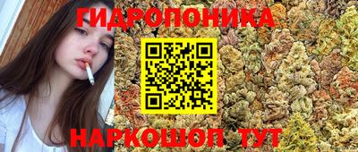 СК Кимры