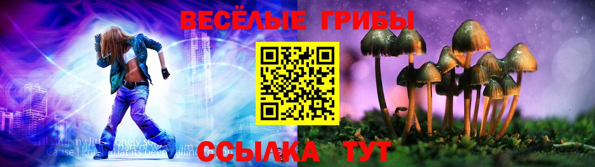 Псилоцибиновые грибы Psilocybine cubensis  Вход с VPN  Новочеркасск 